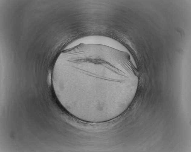 X0000112410027200909251505