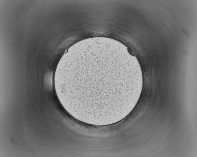 X0000112410028200909251505