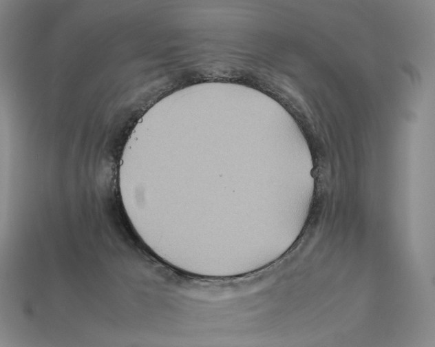X0000112410029200909251505