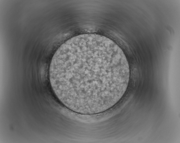 X0000112410030200909251505