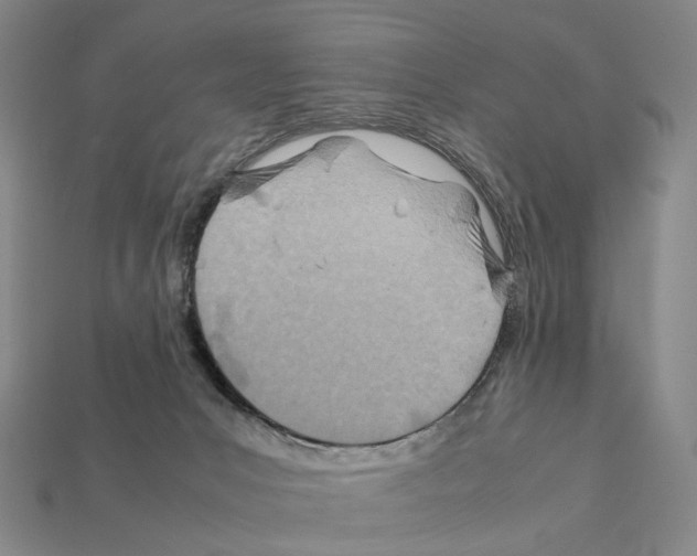 X0000112410031200909251505