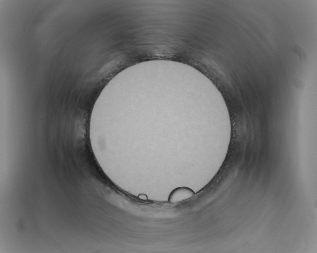 X0000112410032200909251505