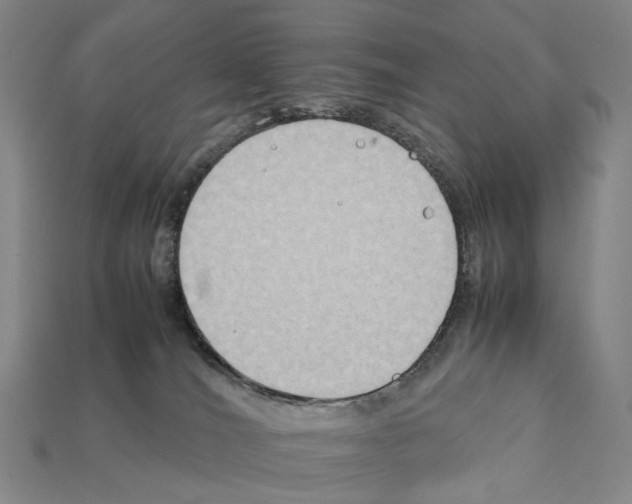 X0000112410036200909251505