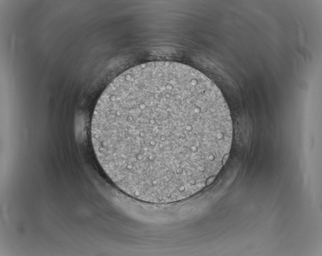 X0000112410038200909251505