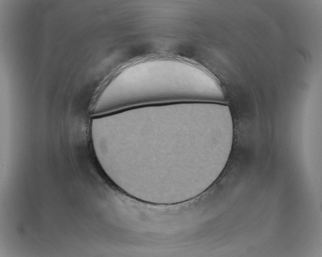 X0000112410039200909251505