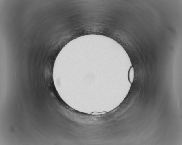 X0000112410040200909251505