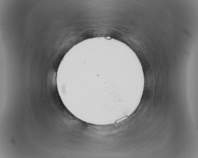 X0000112410041200909251505