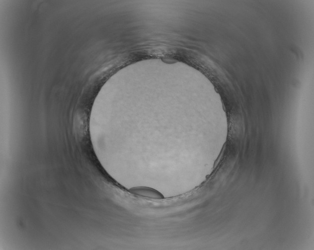 X0000112410043200909251505
