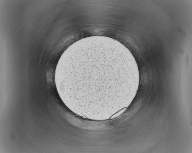 X0000112410044200909251505