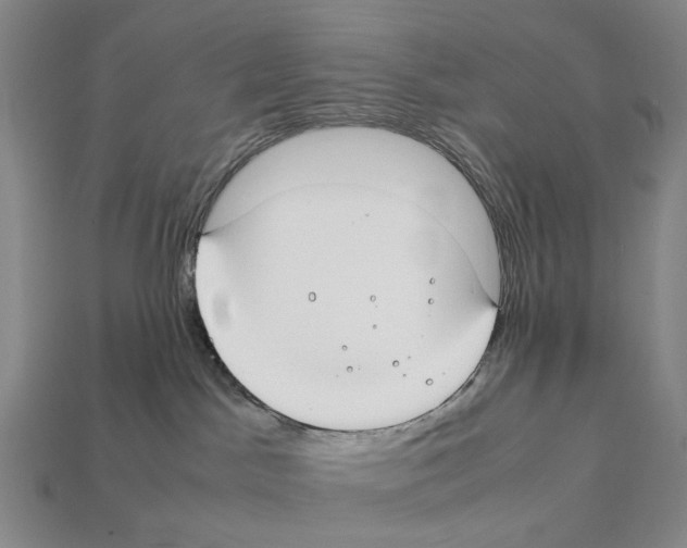 X0000112410045200909251505