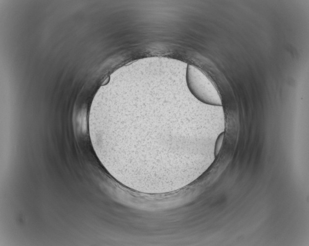 X0000112410046200909251505
