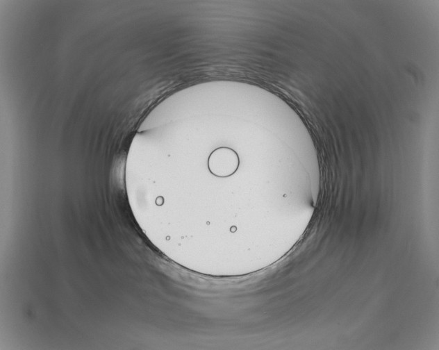 X0000112410047200909251505