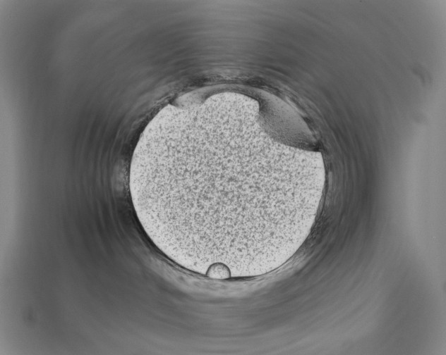 X0000112410048200909251505