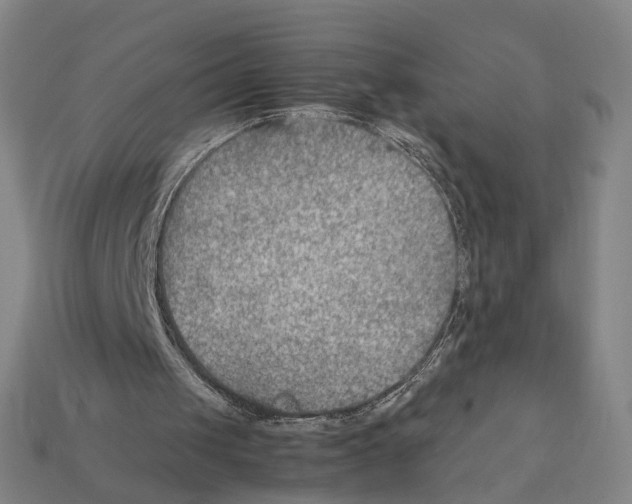 X0000112410049200909251504