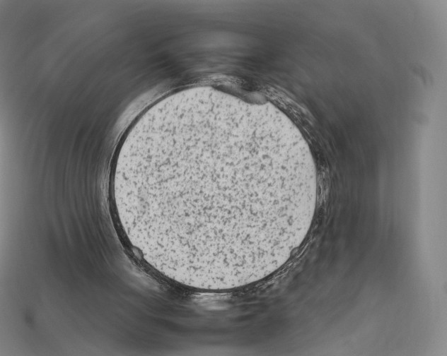 X0000112410051200909251504
