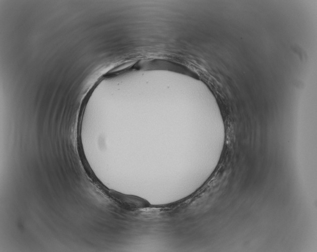 X0000112410052200909251504