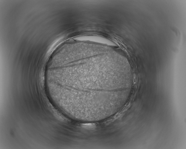 X0000112410053200909251504