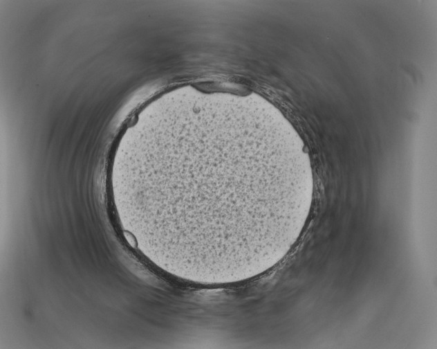 X0000112410054200909251504