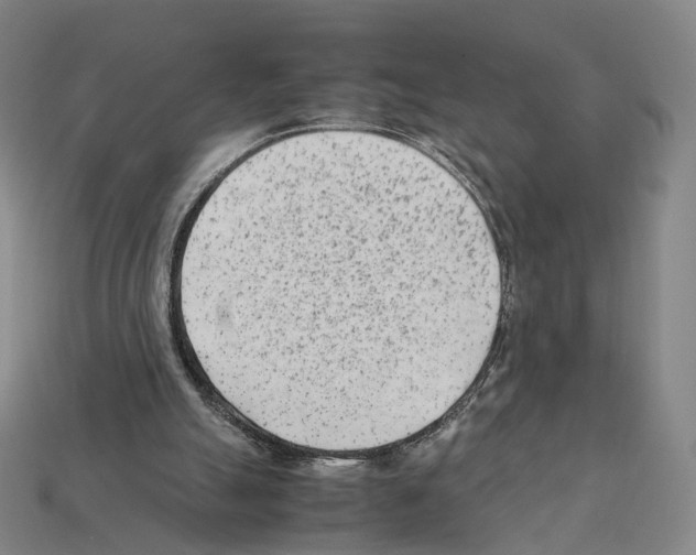X0000112410055200909251504