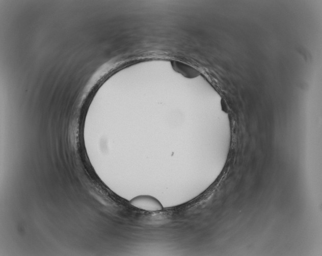 X0000112410056200909251504