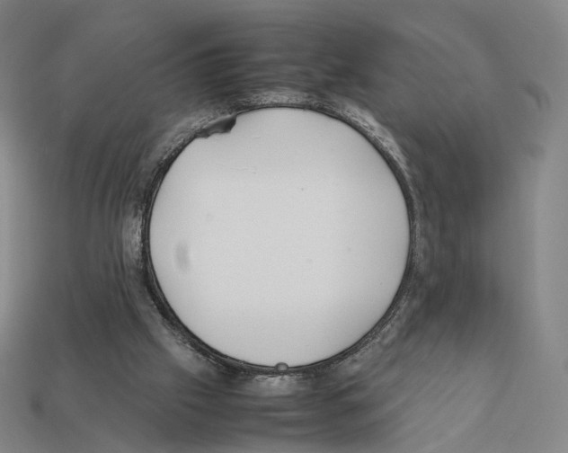X0000112410057200909251504