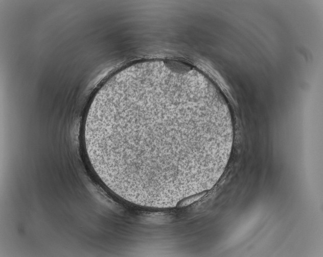 X0000112410058200909251504