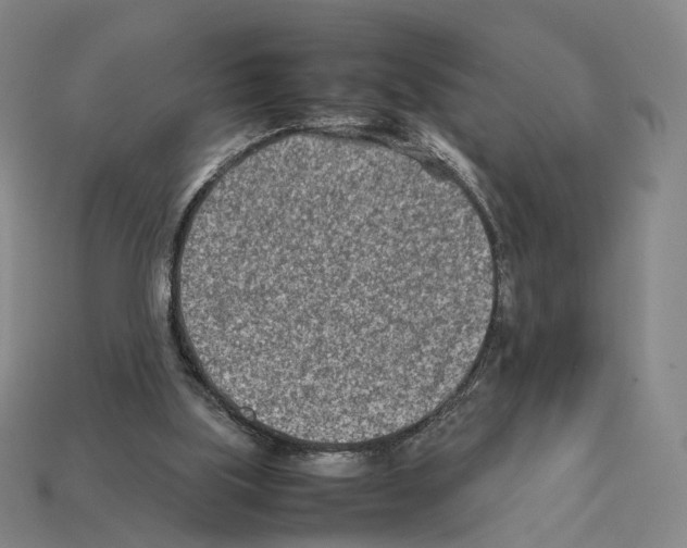X0000112410059200909251504