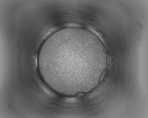 X0000112410061200909251504