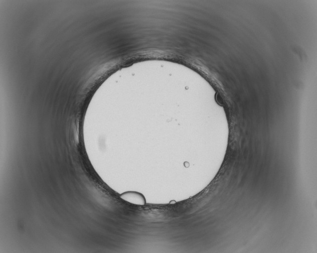 X0000112410062200909251504