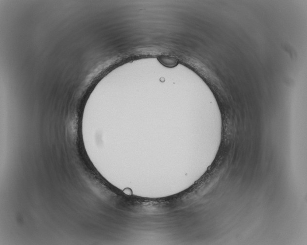 X0000112410064200909251504