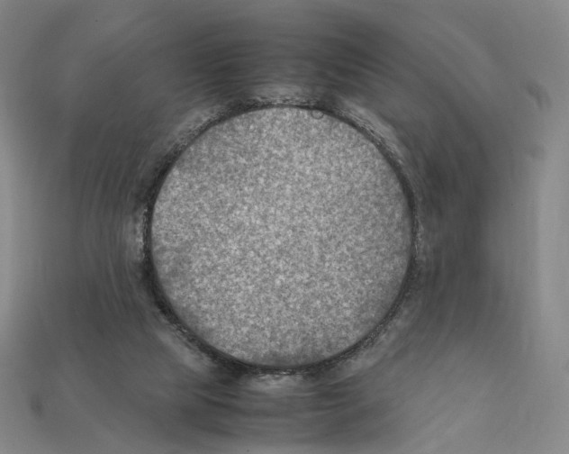 X0000112410065200909251504