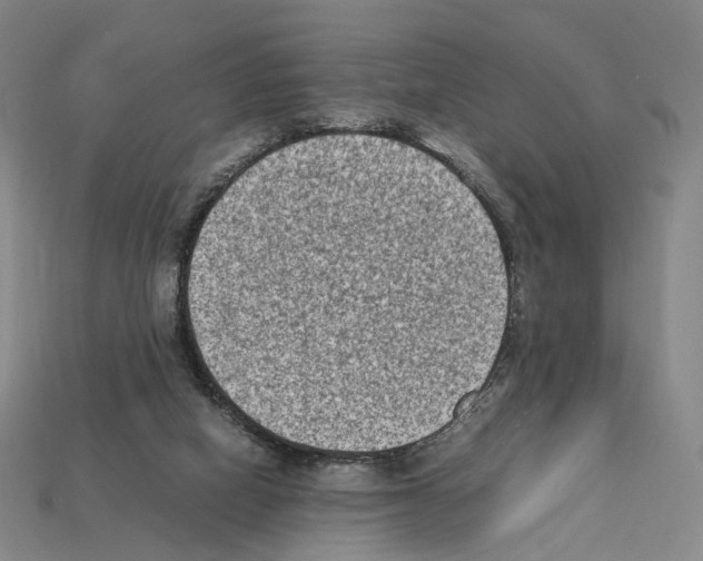 X0000112410066200909251504
