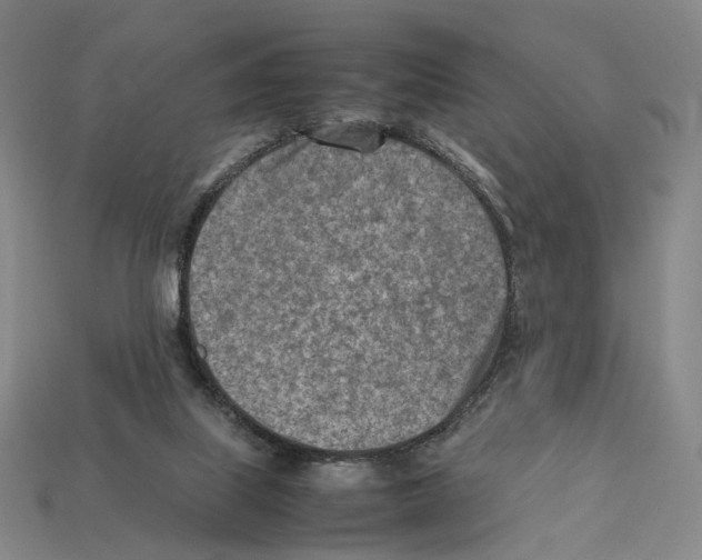 X0000112410067200909251504