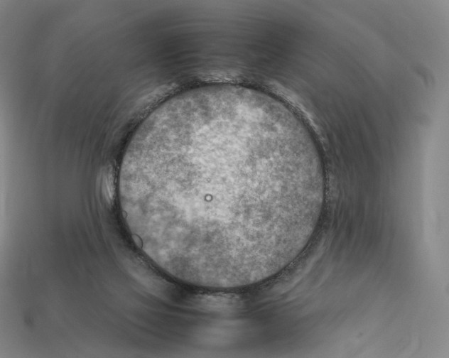 X0000112410069200909251504