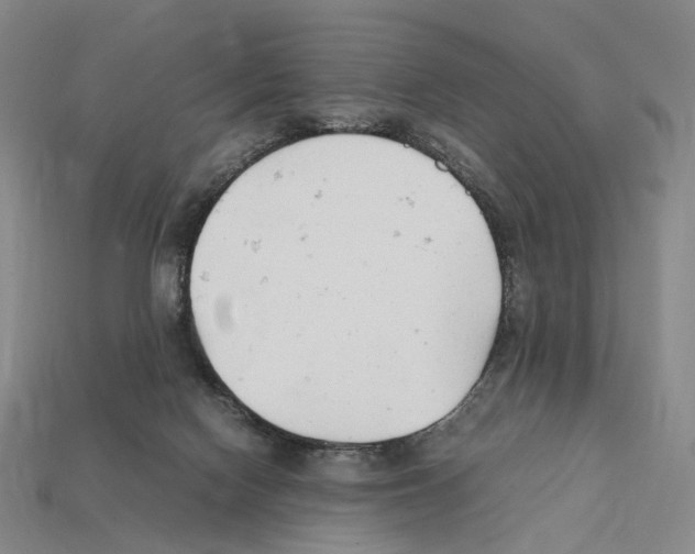 X0000112410074200909251504