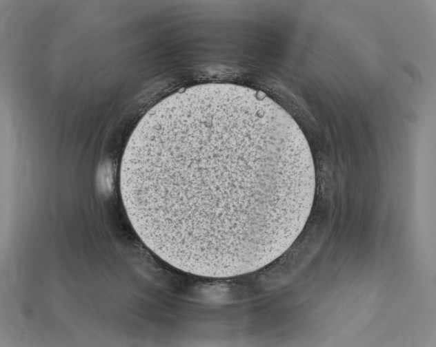 X0000112410075200909251504