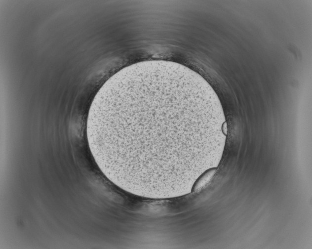 X0000112410078200909251504