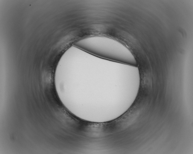 X0000112410084200909251504