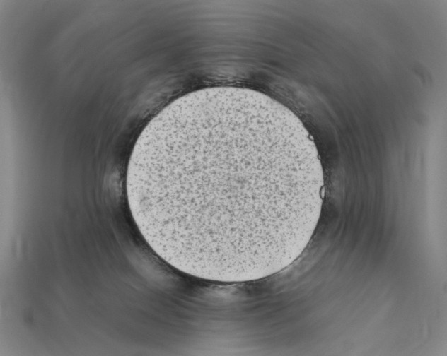 X0000112410086200909251504