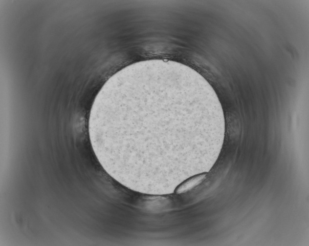 X0000112410087200909251504