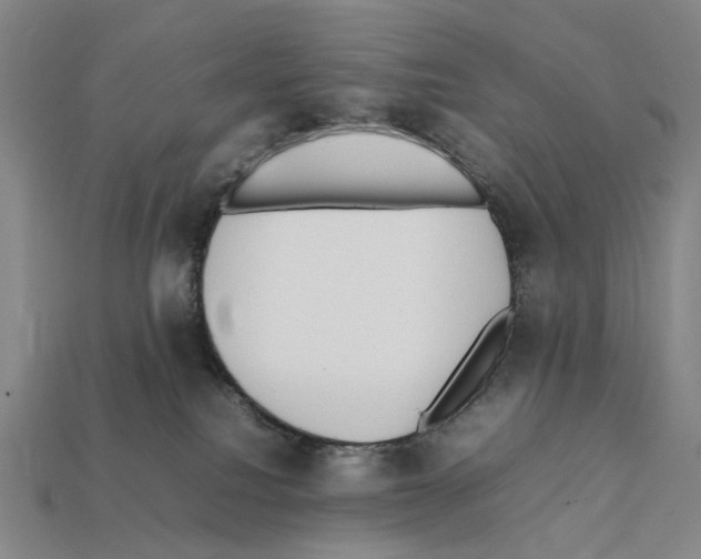 X0000112410088200909251504
