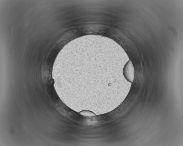 X0000112410091200909251504