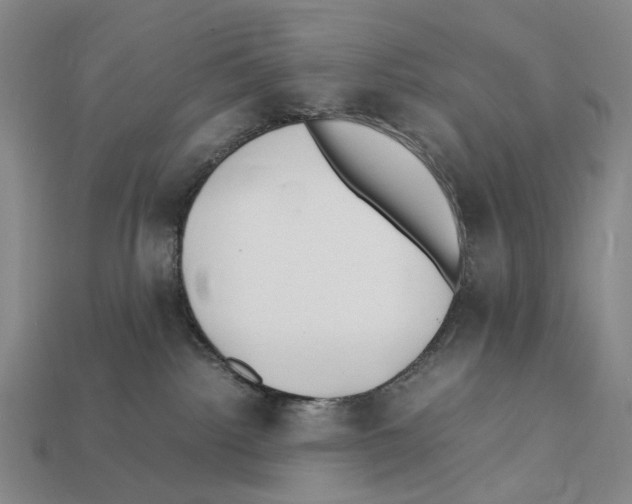 X0000112410092200909251504