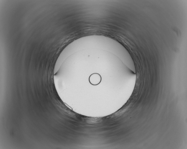 X0000112410096200909251505