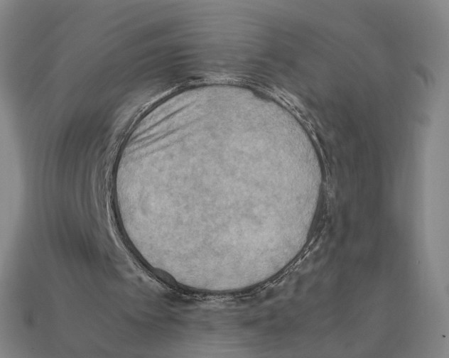 X0000112410097200909251504