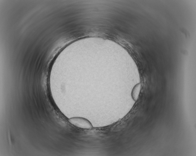 X0000112410098200909251504