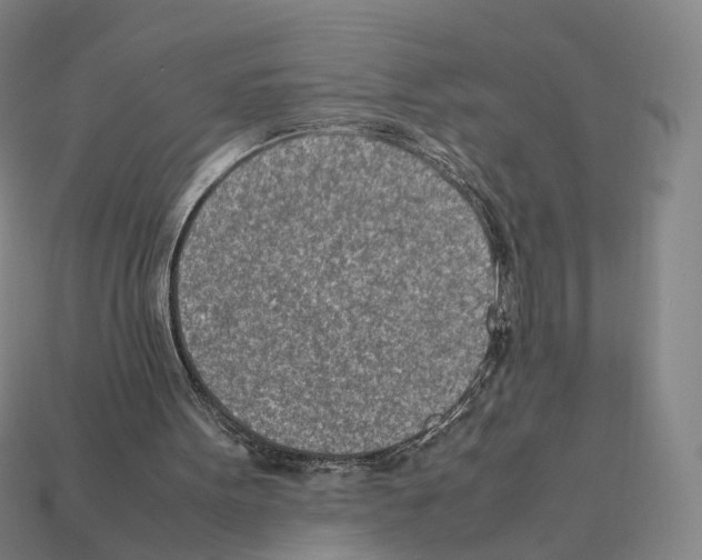 X0000112410099200909251504