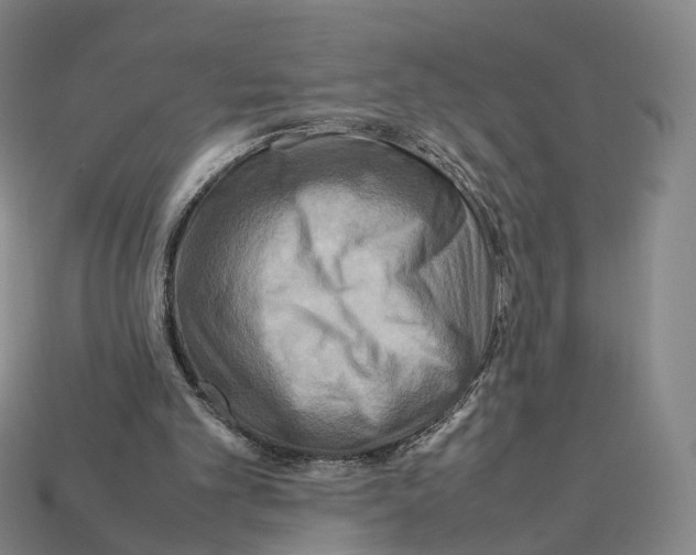 X0000112410101200909251504