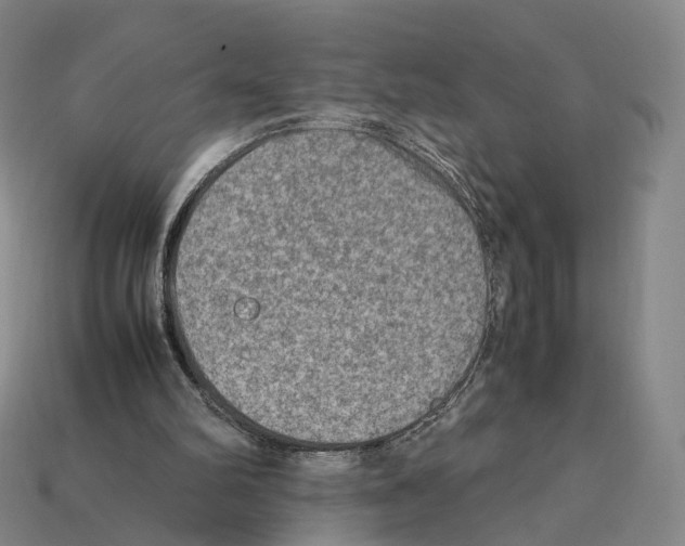 X0000112410102200909251504
