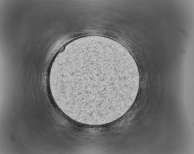X0000112410103200909251504